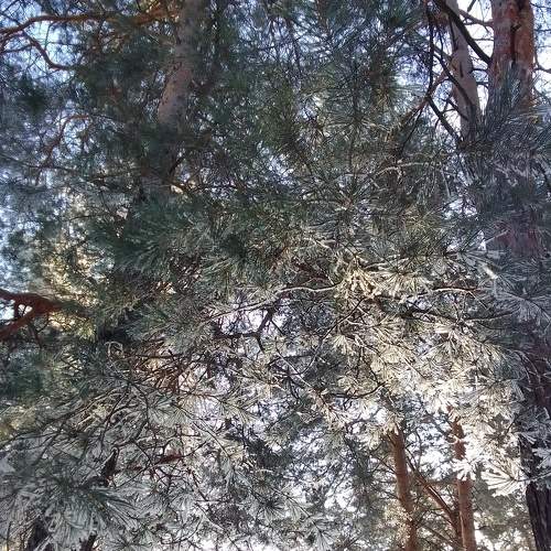 Photo #8729156