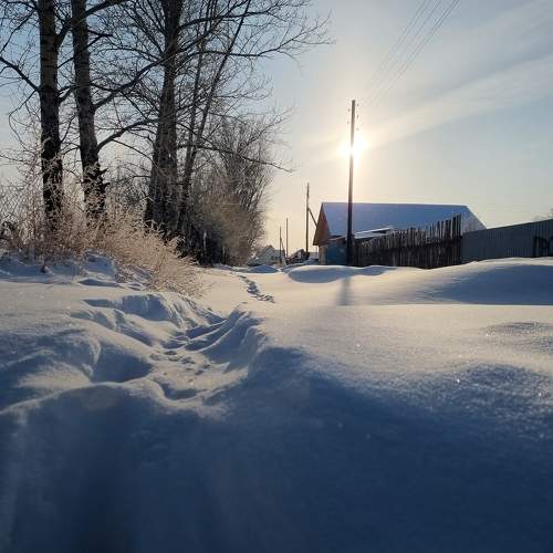 Photo #8729160