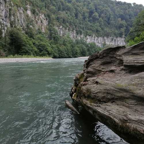 Photo #8729172