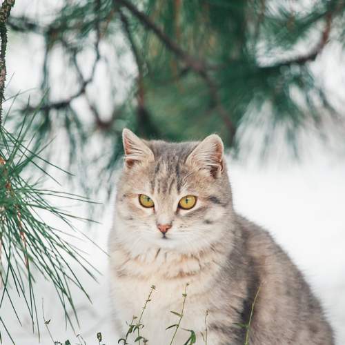 Photo #8729471