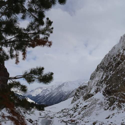 Photo #8729809