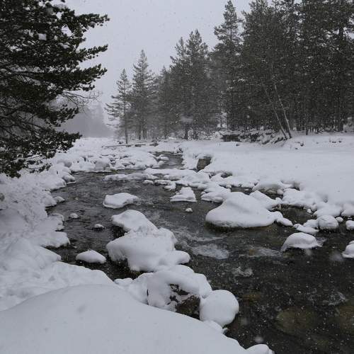 Photo #8729810