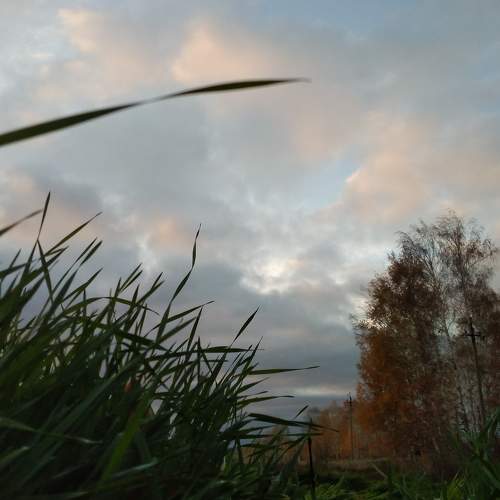 Photo #8729928