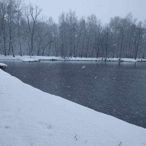 Photo #8729934