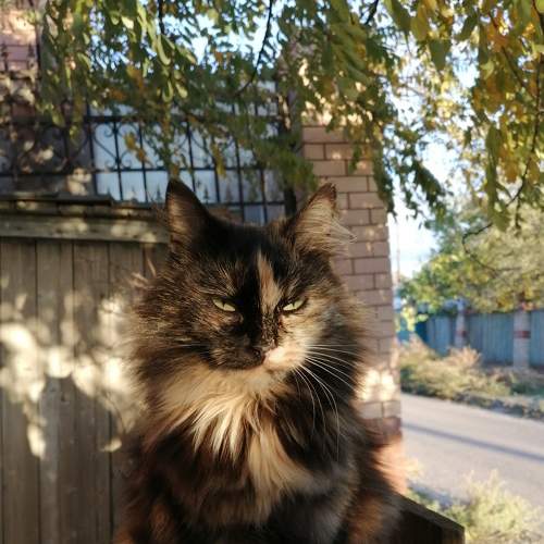 Photo #8730047