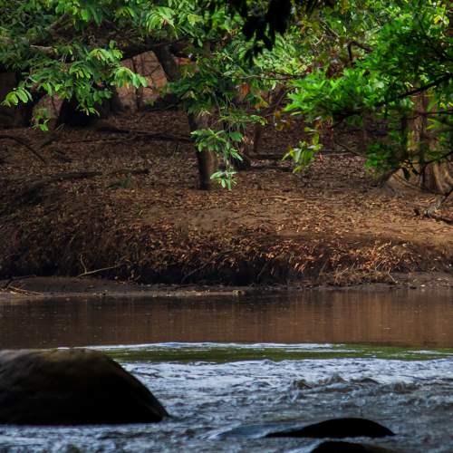 Photo #8730153