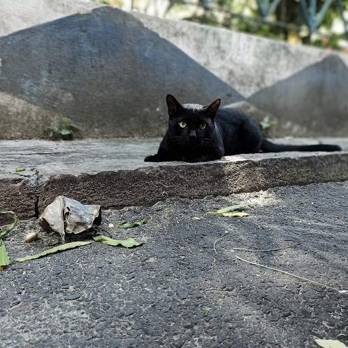 Photo #8730212
