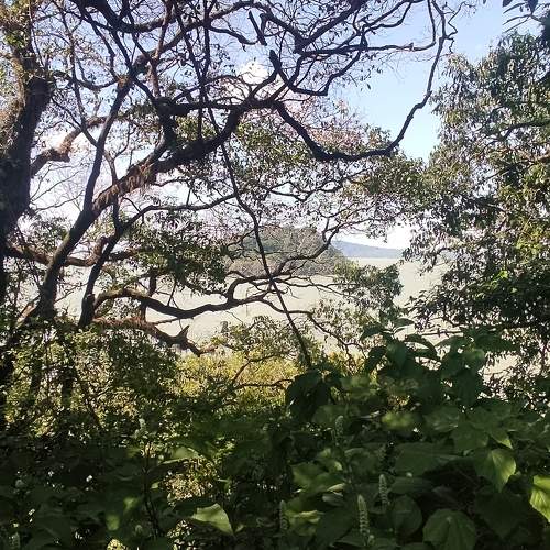 Photo #8730586