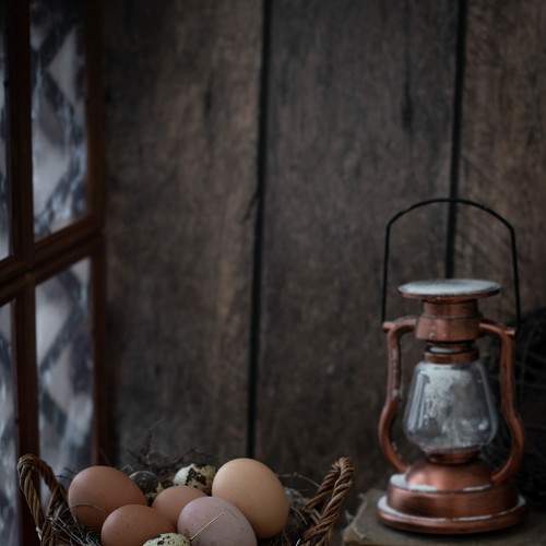 Photo #8730741