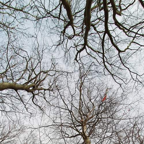 Photo #8730750