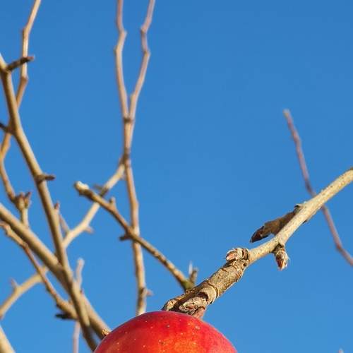 Photo #8730752