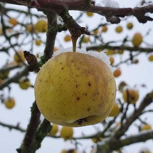 Photo #8730761