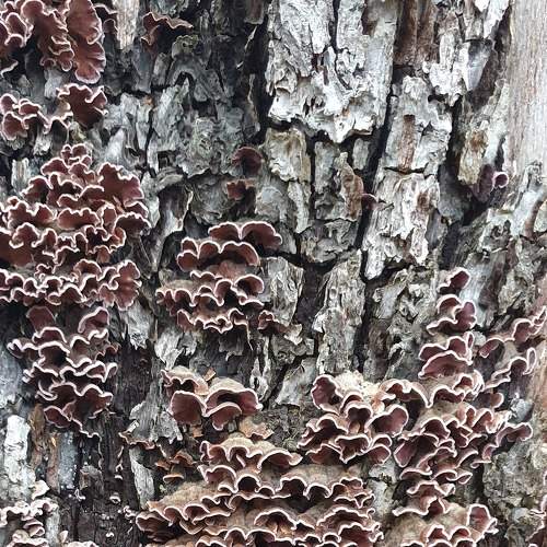 Photo #8730767