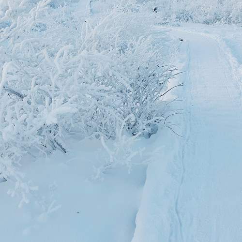 Photo #8730774