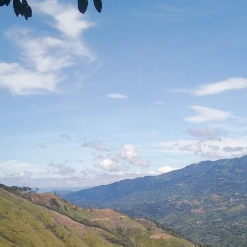 Photo #8731176