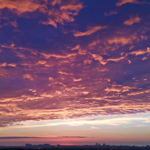 Photo #8731265