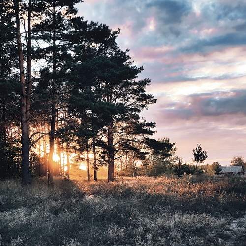 Photo #8731654