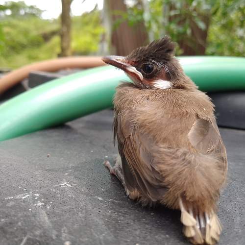 Photo #8731677