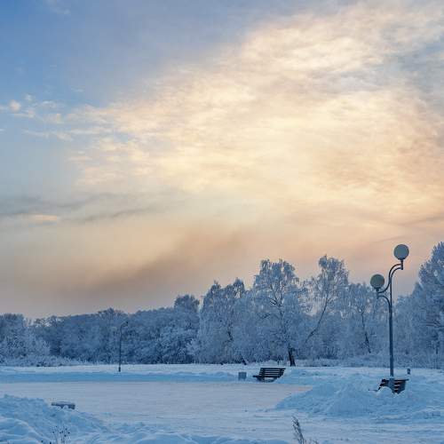 Photo #8731775