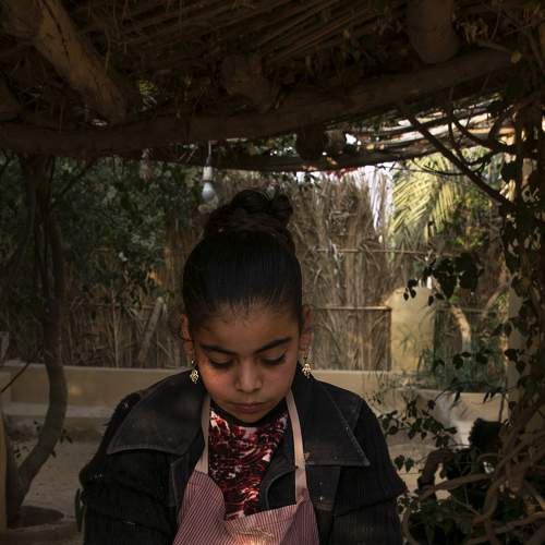 Photo #8732278