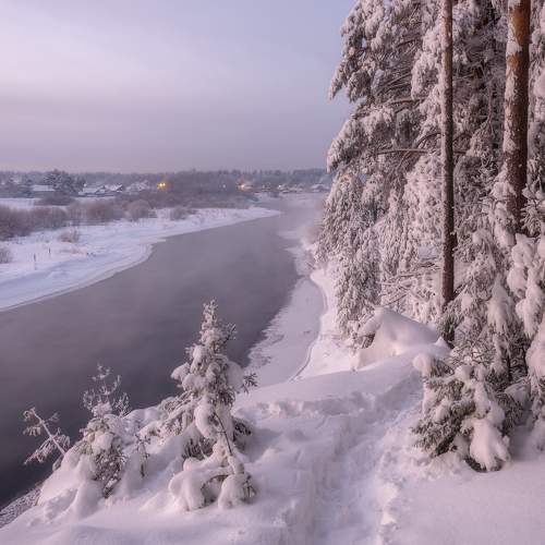 Photo #8732657