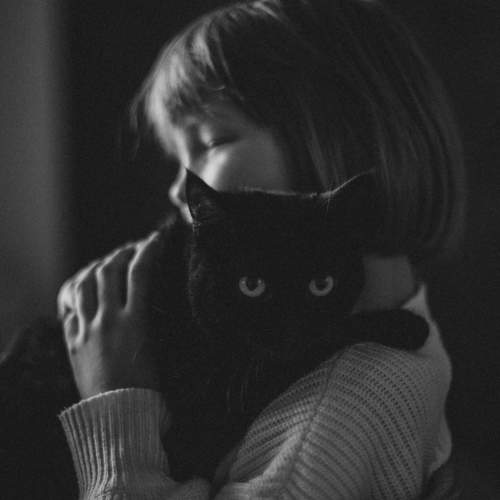 Фотография #8732918