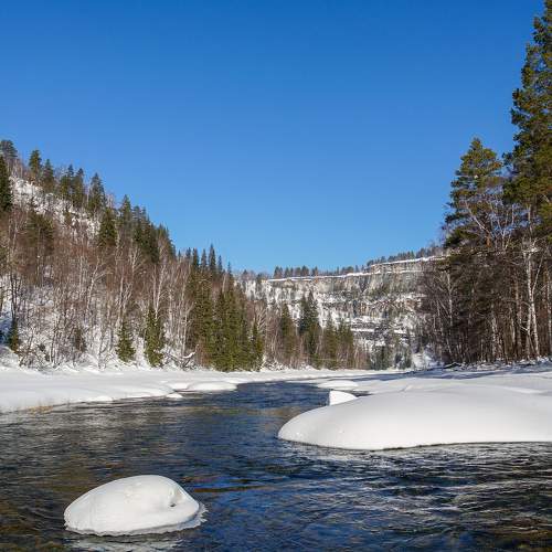 Photo #8732936