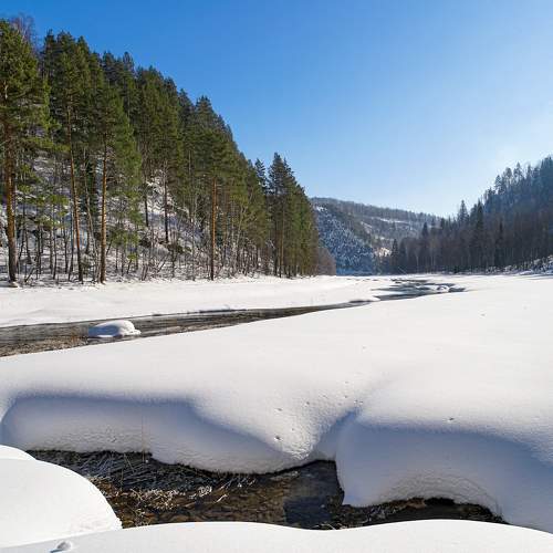 Photo #8733183