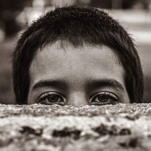 Photo #8733294