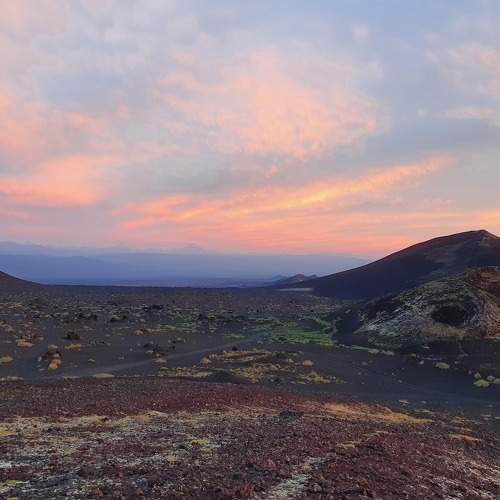Photo #8733665