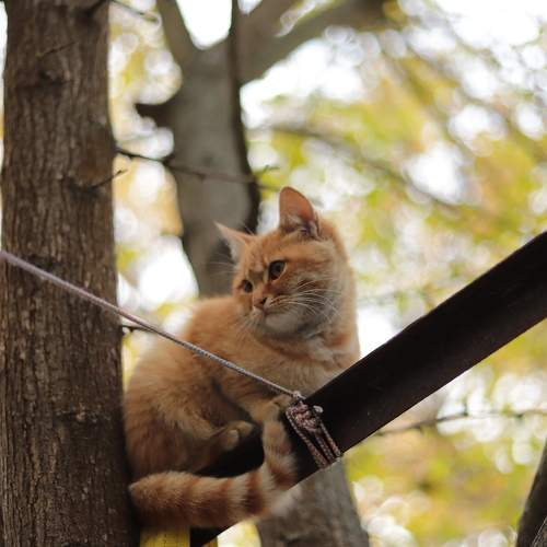 Photo #8733815