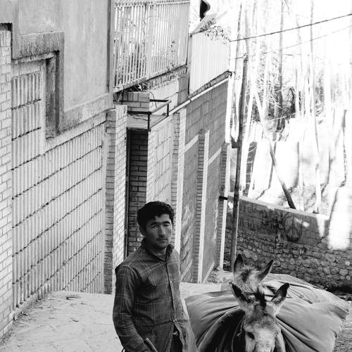 Photo #8733849