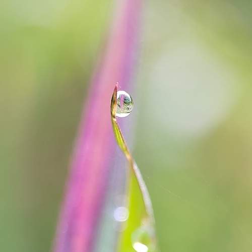 Photo #8734448