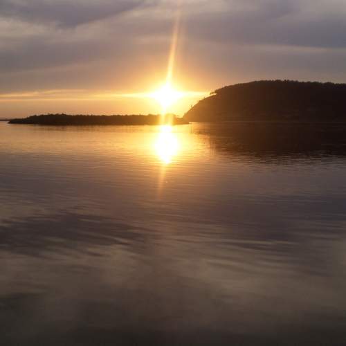 Photo #8734493