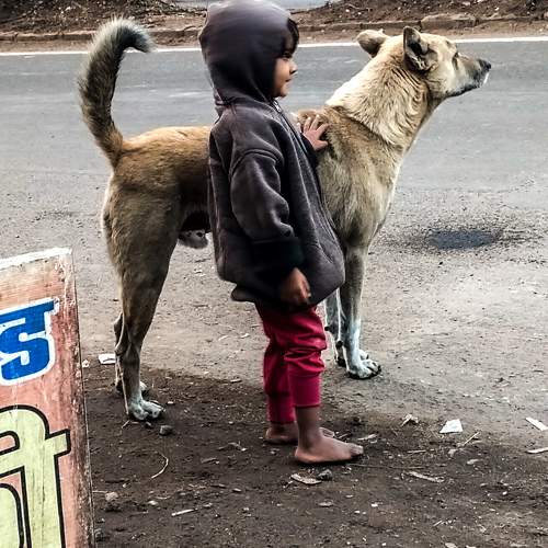 Locals Life in India
