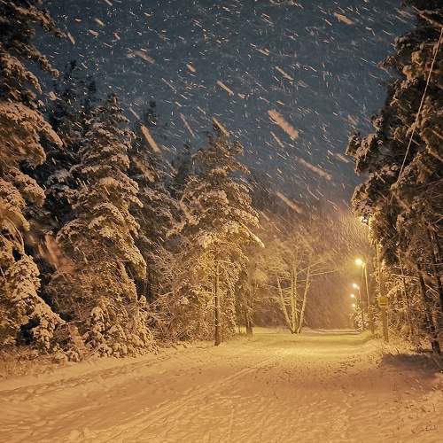 Photo #8734881
