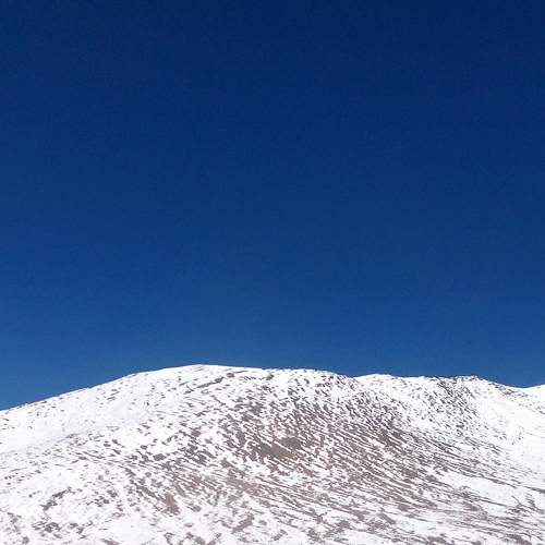 Photo #8734939