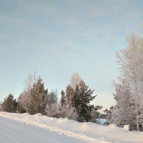 Photo #8735177