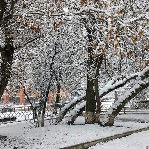 Photo #8735240