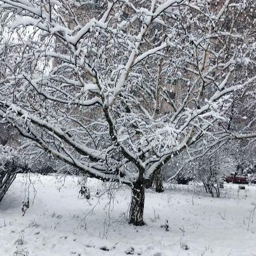 Photo #8735281