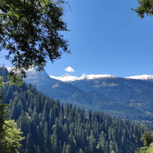 Photo #8735427