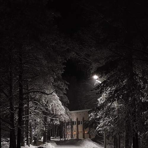 Photo #8735435