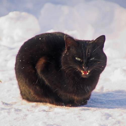 Photo #8735608