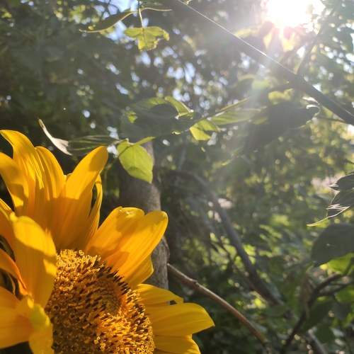 Photo #8735651