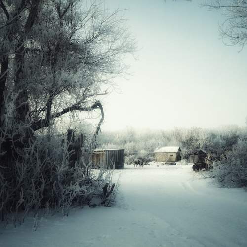 Photo #8736006
