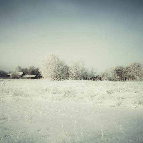 Photo #8736017