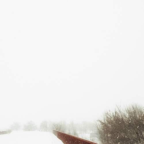 Photo #8736024