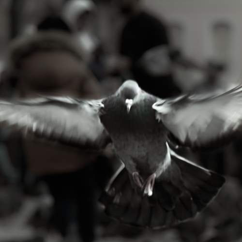 Photo #8736071