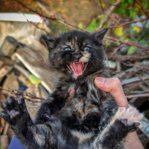 Photo #8736138