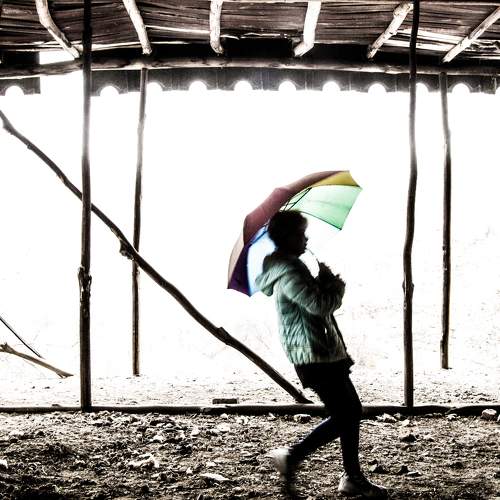 Photo #8736439